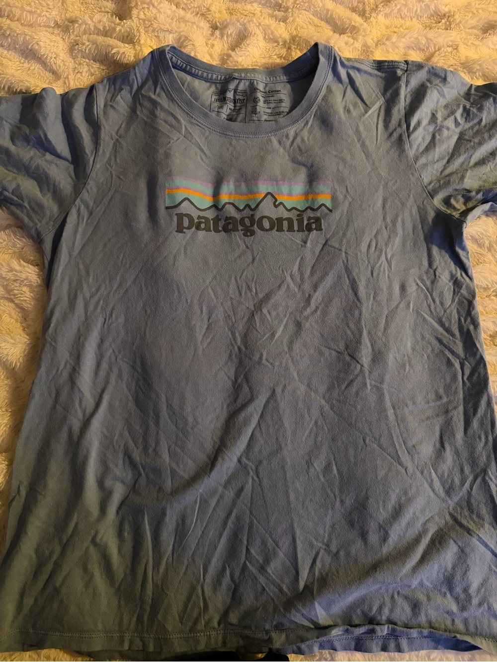 Patagonia Light Blue Logo Crew Tee with Multicolor Mountain Stripe